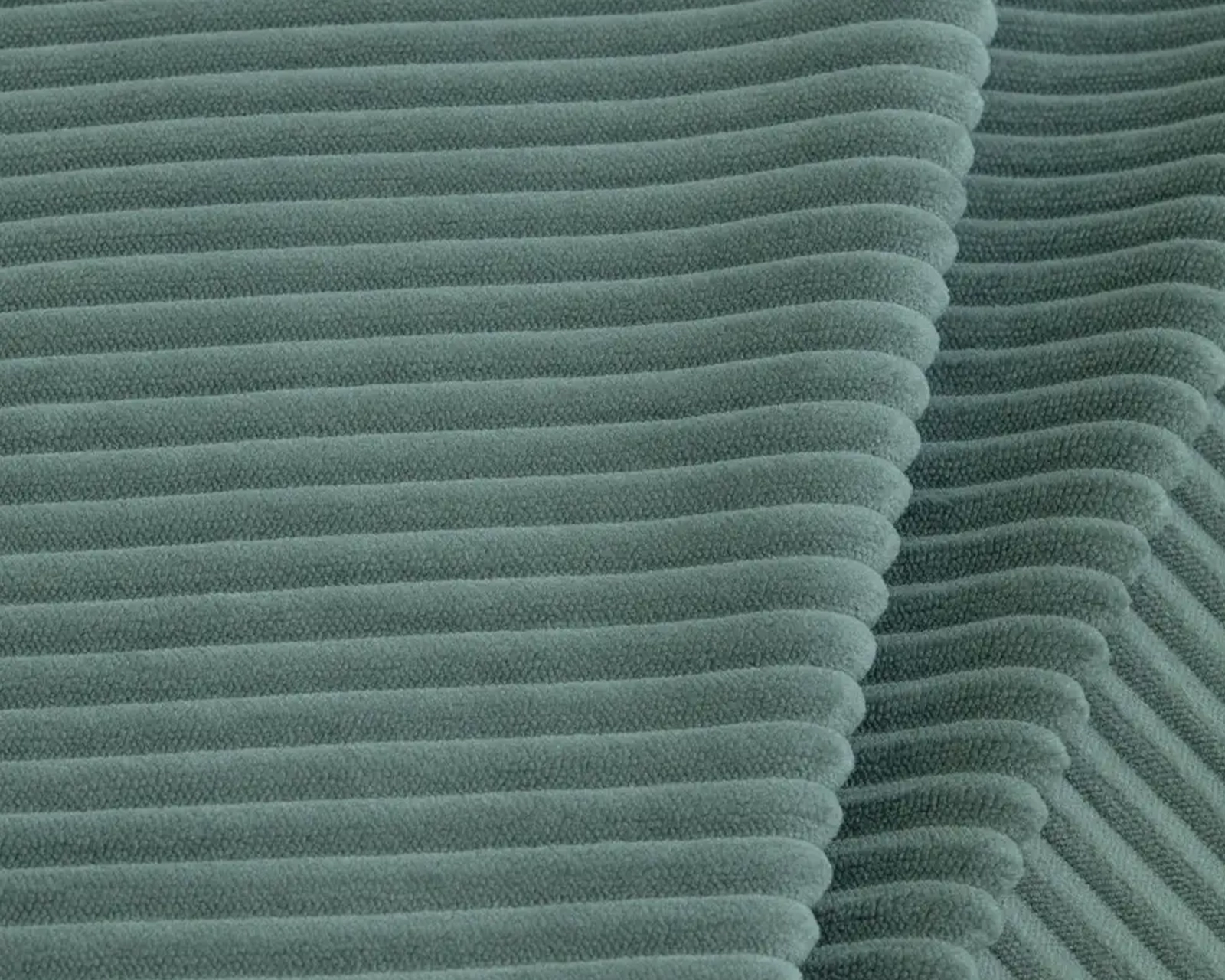 Cilium Forest