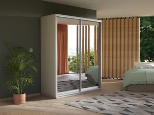 Экспенс Шкаф-купе двухдверный с зеркалом, 120х220х60, Белый