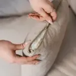 ВДОХНОВЕНИЕ ДНЯ Диван прямой, бежевый