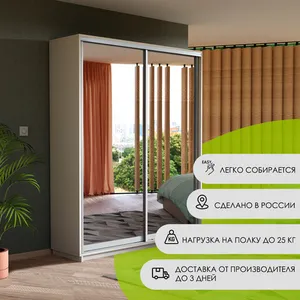 Экспенс Шкаф-купе двухдверный с зеркалом, 160х220х45, Белый