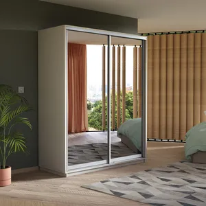 Экспенс Шкаф-купе двухдверный с зеркалом, 120х240х60, Белый