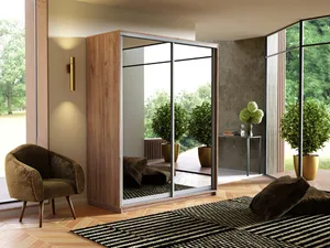Экспенс Шкаф-купе двухдверный с зеркалом, 140х240х60, Золотистый