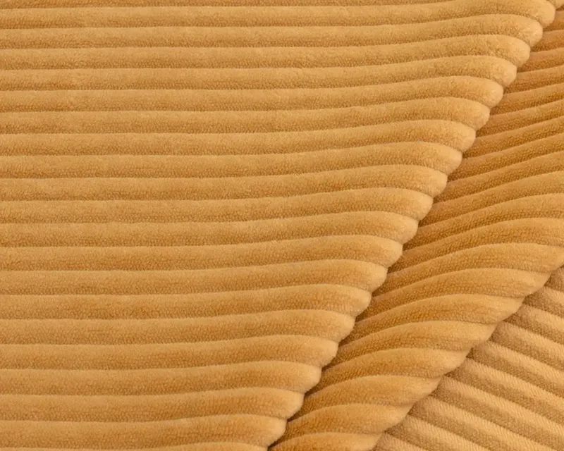 Cilium Umber