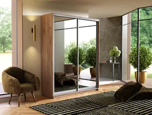 Экспенс Шкаф-купе двухдверный с зеркалом, 160х220х45, Золотистый