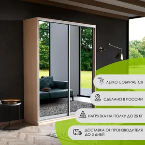 Экспенс Шкаф-купе двухдверный с зеркалом, 160х240х45, Светло-бежевый