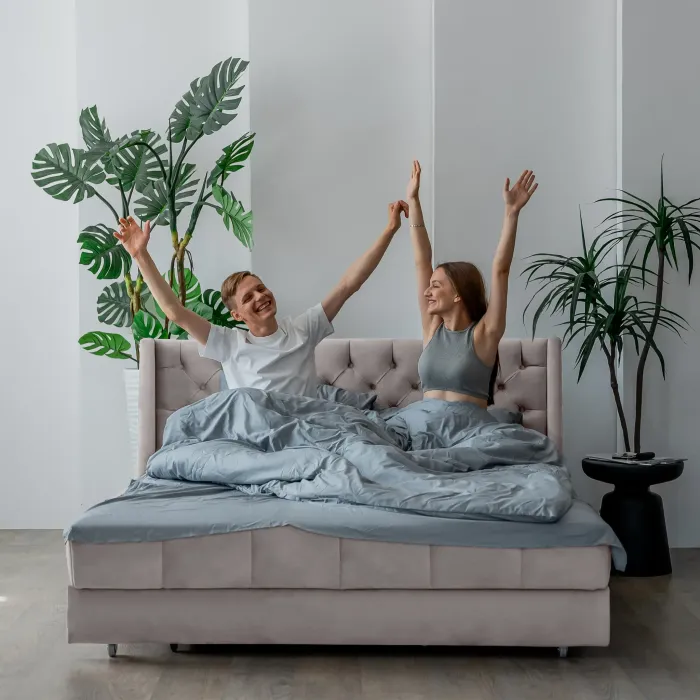 РИЧМОНД Складная кровать серо-бежевая, 185