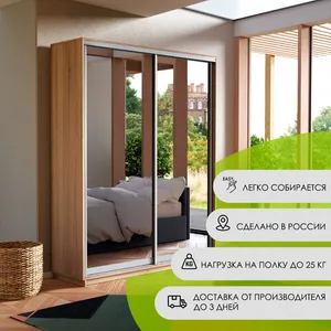 Экспенс Шкаф-купе двухдверный с зеркалом, 160х240х45, Бежевый