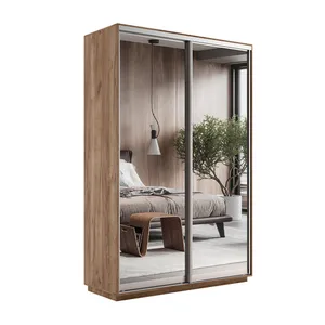 Экспенс Шкаф-купе двухдверный с зеркалом, 120х220х45, Золотистый