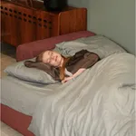 ФОРМУЛА УЮТА Диван угловой, терракотовый