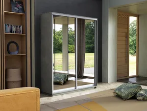 Экспенс Шкаф-купе двухдверный с зеркалом, 120х220х45, Серый