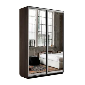 Экспенс Шкаф-купе двухдверный с зеркалом, 120х220х45, Коричневый
