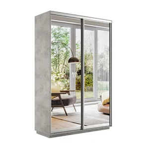 Экспенс Шкаф-купе двухдверный с зеркалом, 120х220х45, Серый