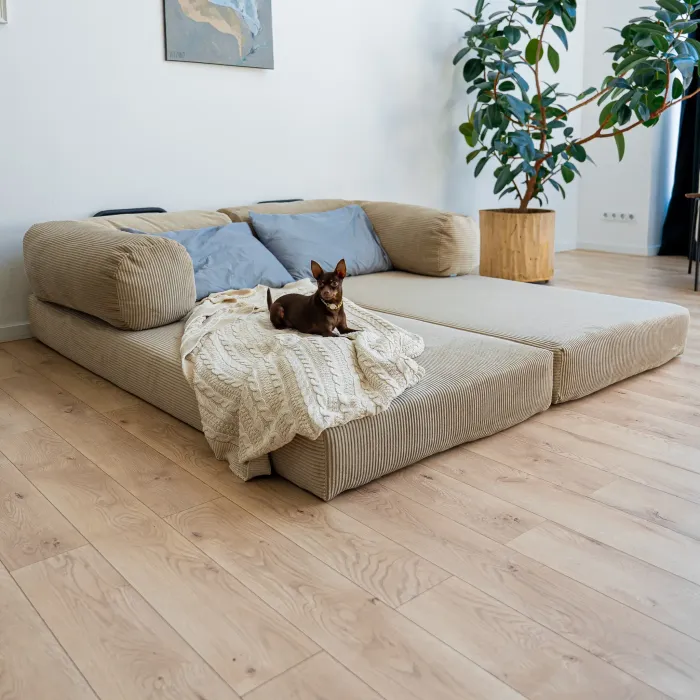 ПОЛЕЗНАЯ ПРИВЫЧКА Диван прямой, бежевый