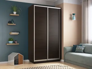 Хит Элемент Шкаф-купе двухдверный, 120х220, Коричневый