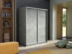 Элемент Шкаф-купе двухдверный, 160х220, Серый