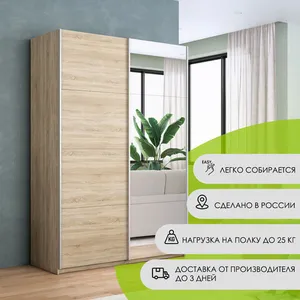 Прайм Шкаф-купе двухдверный с зеркалом, 160х230, Бежевый