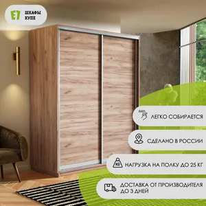Элемент Шкаф-купе двухдверный, 160х240, Золотистый